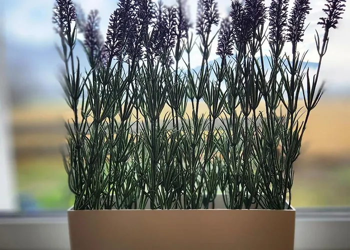 公寓 Garten 巴德伊舍